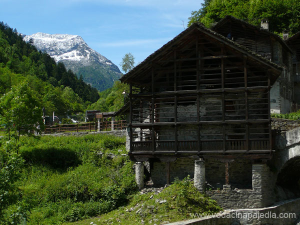 P1010033