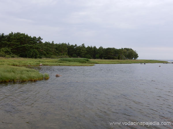 DSCN0546