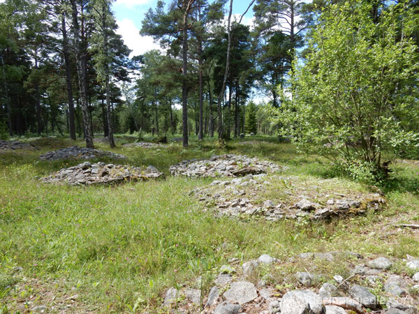 DSCN0613