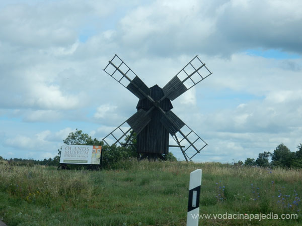 DSCN0721