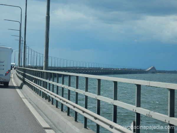 DSCN0776