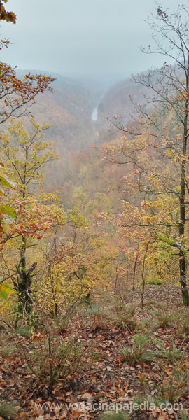 IMG_20241027_105856_654