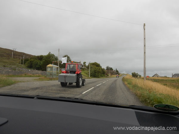 DSCN1658