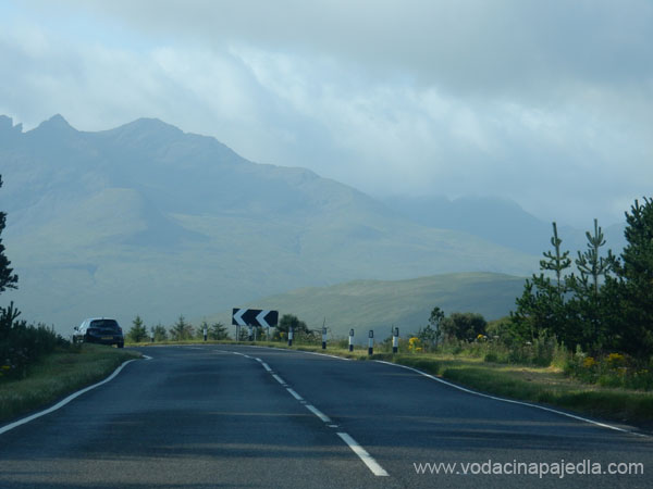 DSCN1841