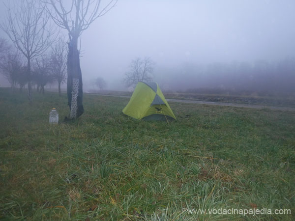 DSCF6597