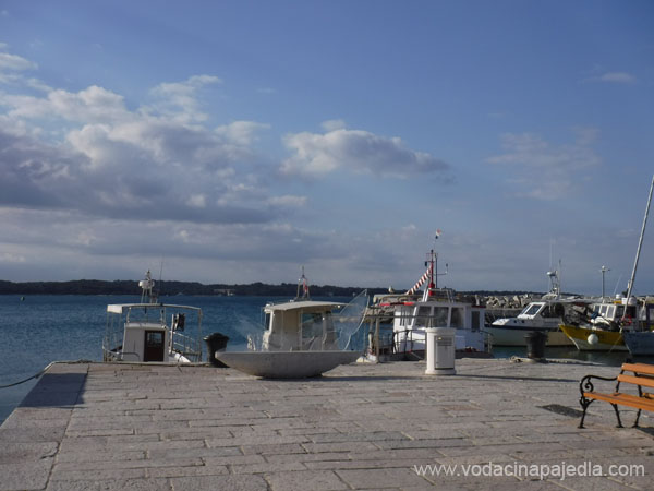 DSCF6693