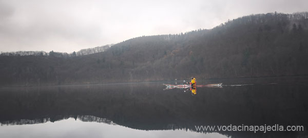 IMG_20260208_100205