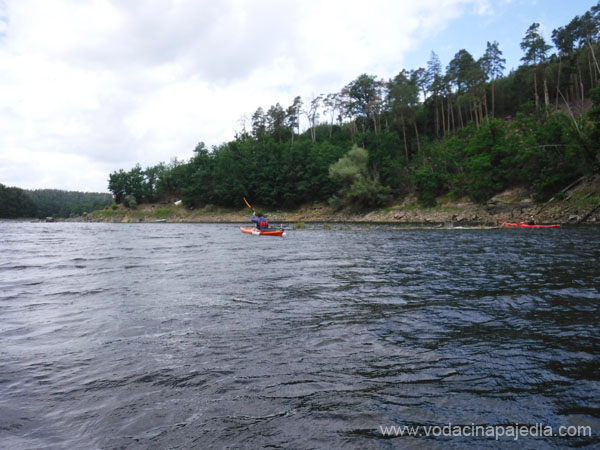 DSCF6896